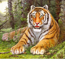 Схема вышивки «Серия "Хищники"»