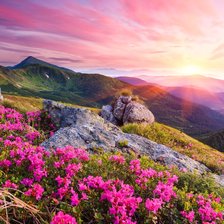 Схема вышивки «Пейзаж»