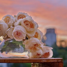 Схема вышивки «Розы на балконе»