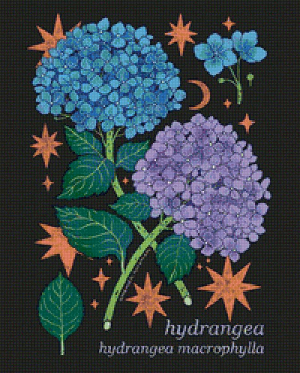 Гортензия - цветок, гортензия, растения, голубой цветок, природа, цветы - предпросмотр