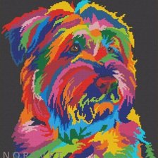 Радужный терьер