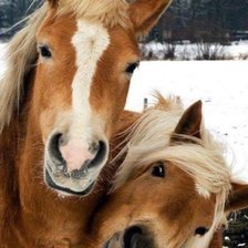 Схема вышивки «№2446075»