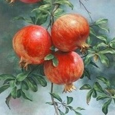 Схема вышивки «Гранат»