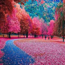 Краски природы