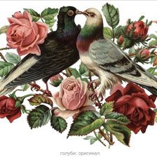 Схема вышивки «Голуби в розах»
