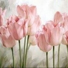 Схема вышивки «тюльпановая нежность»