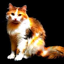 Схема вышивки «Матрешка-40»