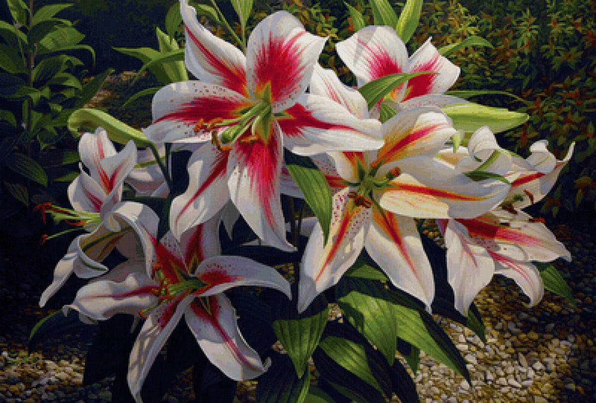 №2446996 - предпросмотр