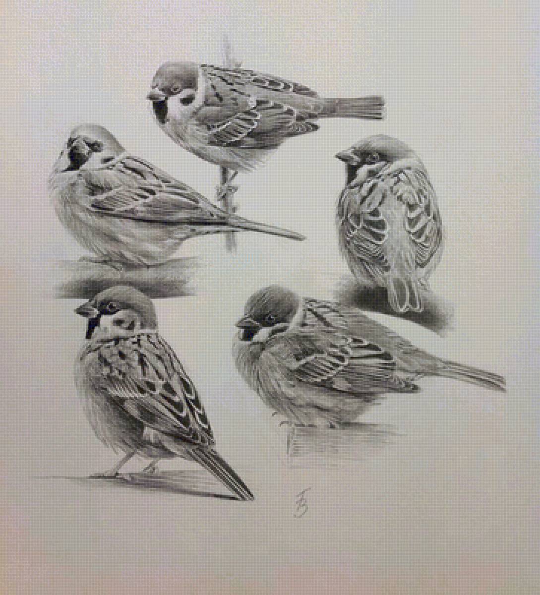 №2447024 - предпросмотр