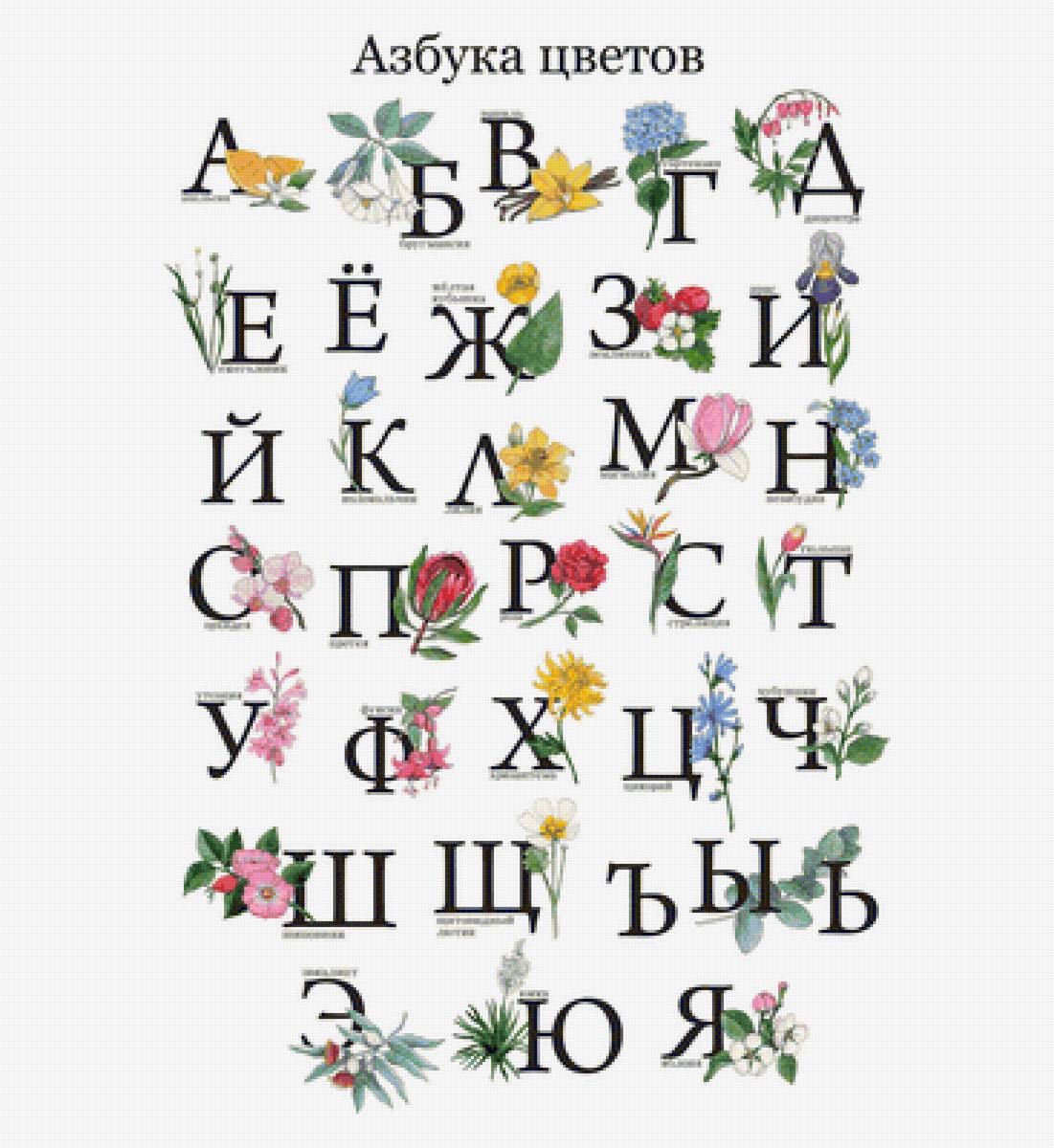 Афавит - цветы буквы алфавит цветочки - предпросмотр