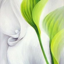 Схема вышивки «kala»