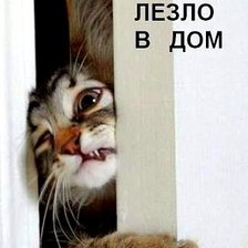 Схема вышивки «котик»