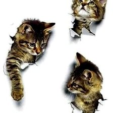 Схема вышивки «котики»