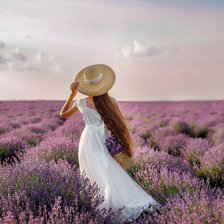 Схема вышивки «Лавандовое поле»