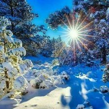 Схема вышивки «Зима»