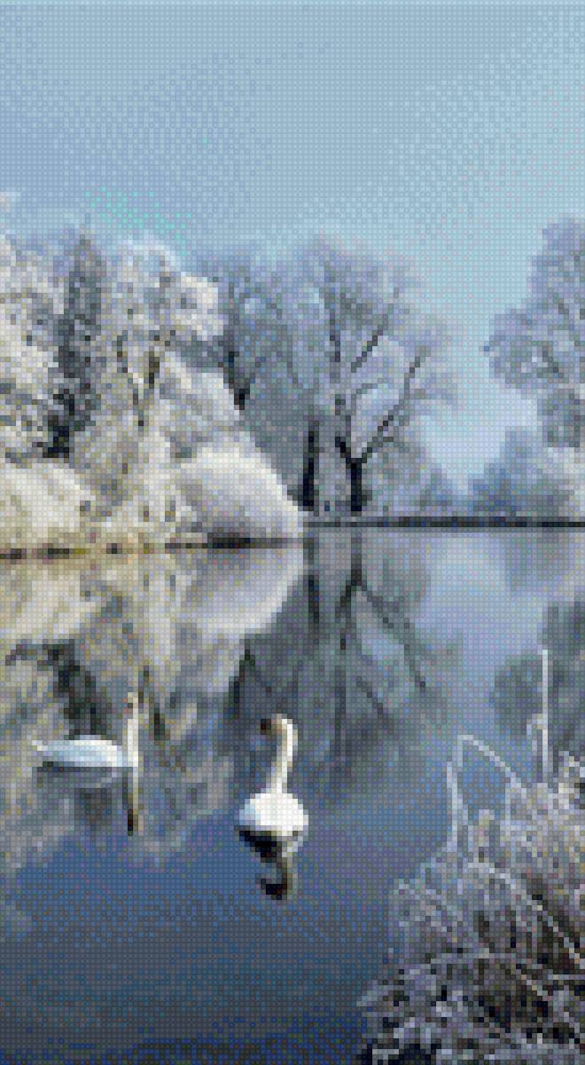 Лебеди - озеро, лебеди - предпросмотр