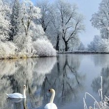 Схема вышивки «Лебеди»