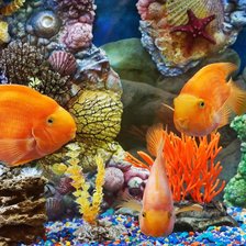 Схема вышивки «Подводный мир»