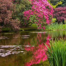 Схема вышивки «Пруд»