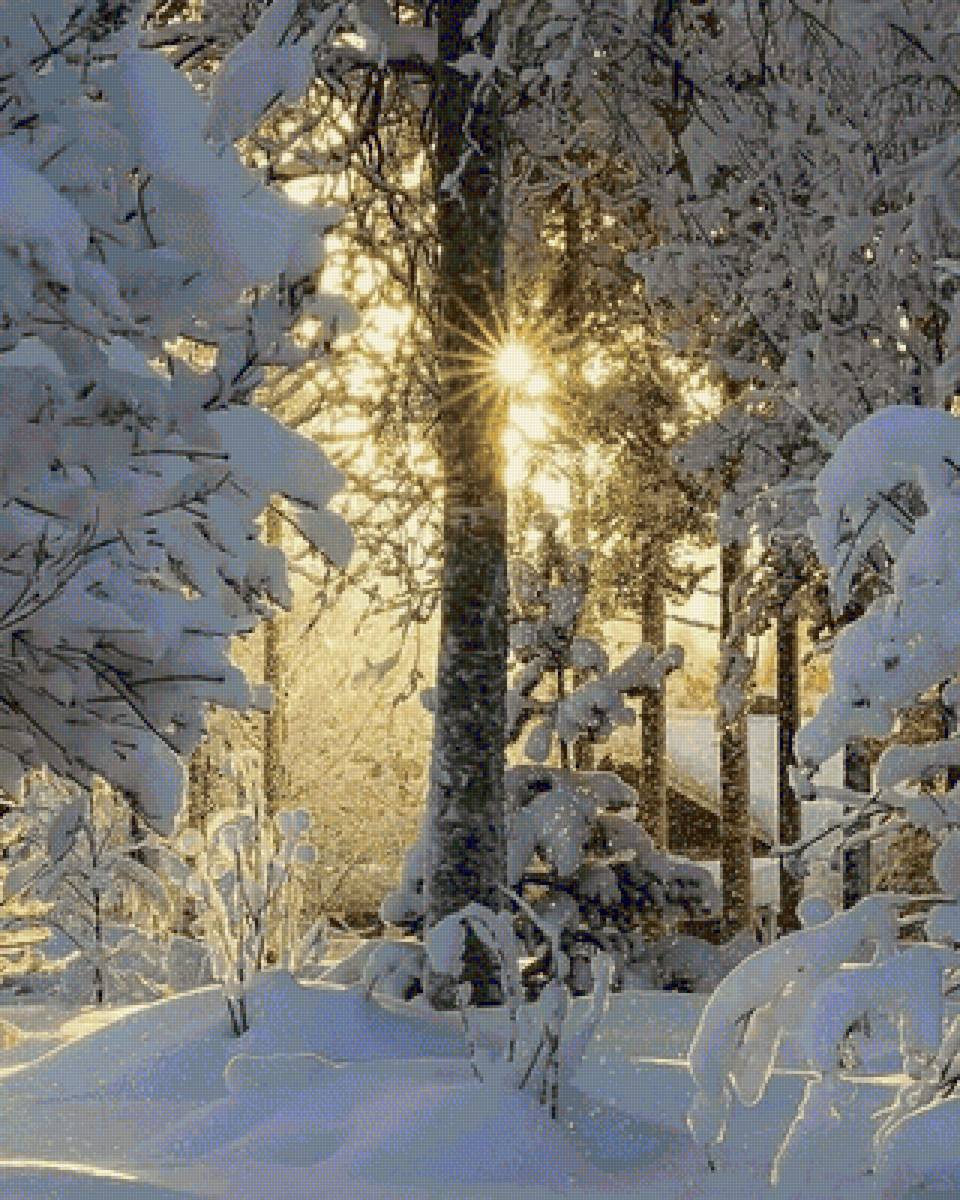 №2448842 - предпросмотр