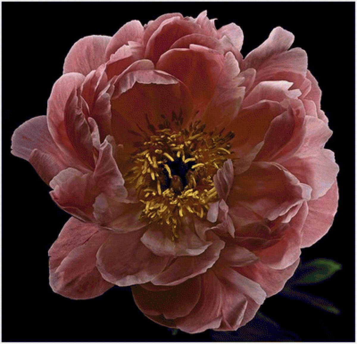 №2448858 - предпросмотр