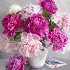 Схема вышивки «Пионы»