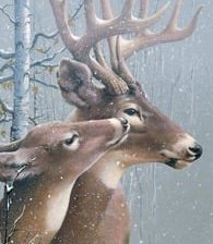 Схема вышивки «y5e2»