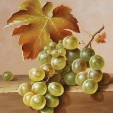 Виноград