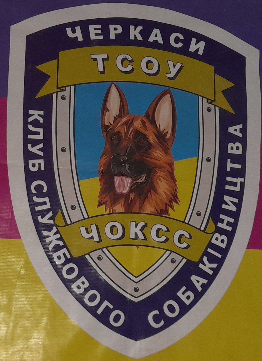 Чоокс - клуб, собака - оригинал