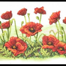 Схема вышивки «маки»