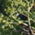 Предпросмотр схемы вышивки «Лесной ручей» (№2449832)