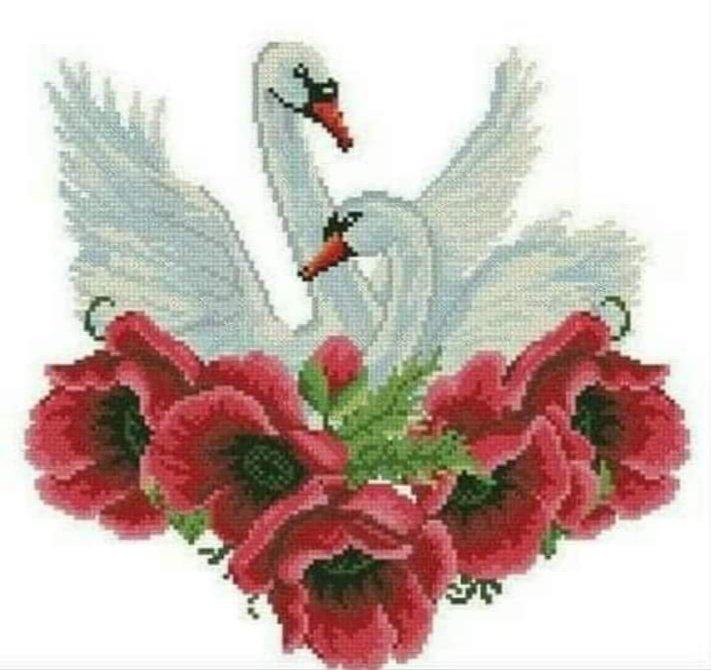 cisnes - оригинал