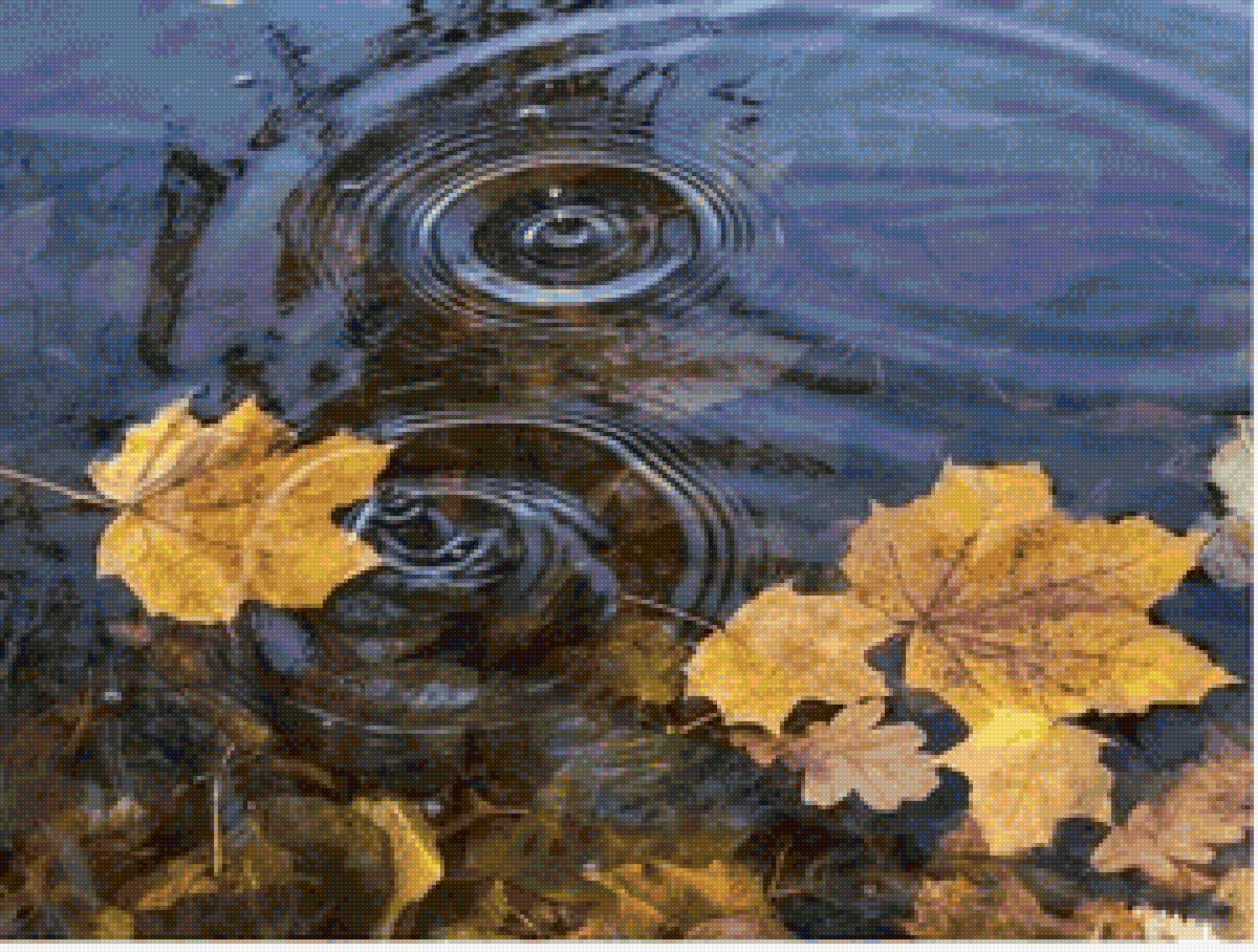 Осень - лужи, листопад - предпросмотр