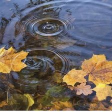 Схема вышивки «Осень»