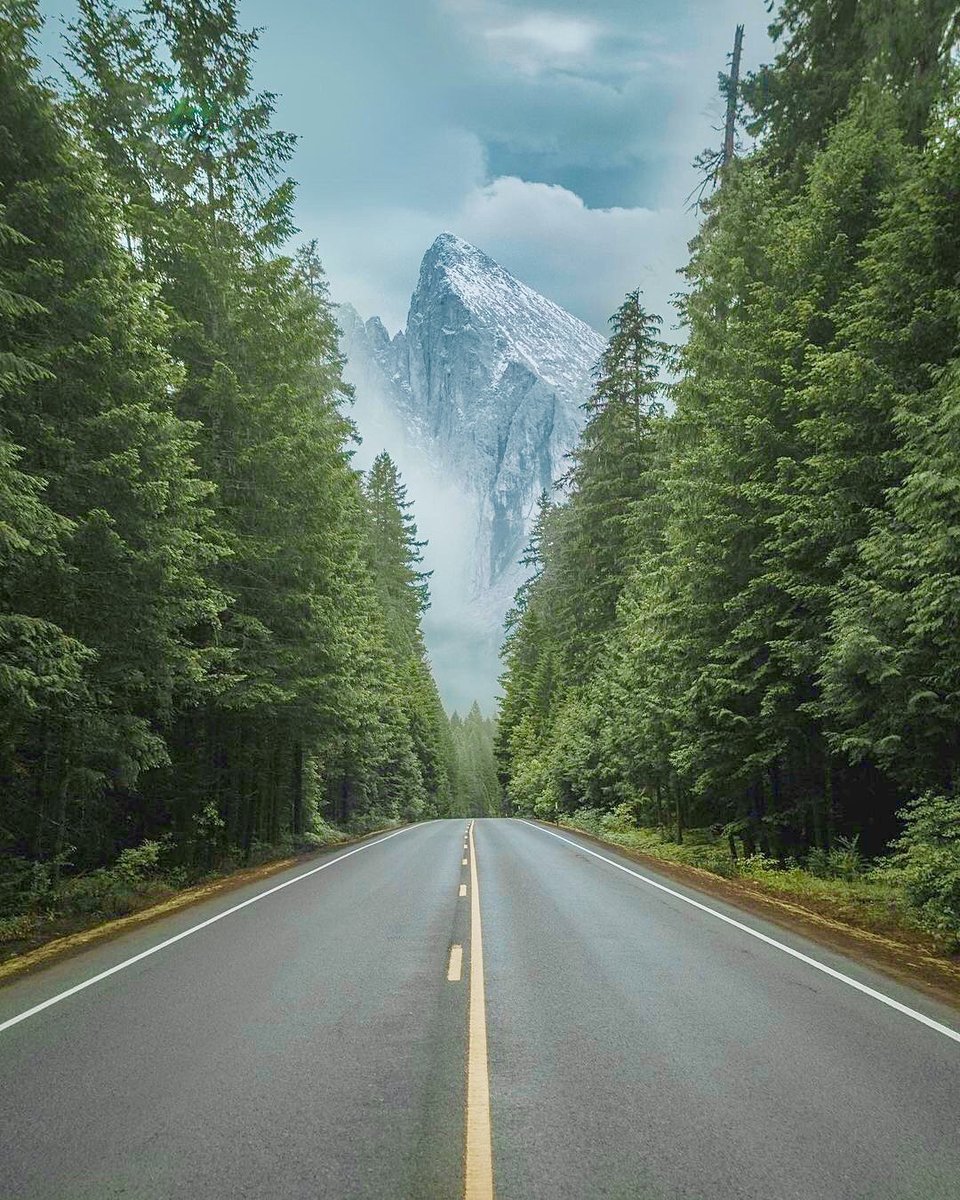 Дорога в горы - горы, дорога, лес - оригинал