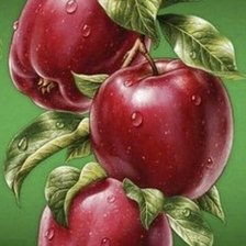 Схема вышивки «Яблоки»