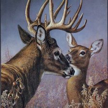 Схема вышивки «№2450559»