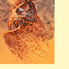 Схема вышивки «Серия "Птицы".»