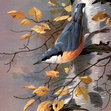 Схема вышивки «Реалистичные птицы. Базиль Эде»