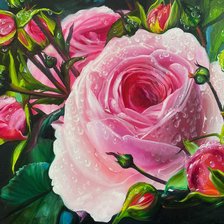 Схема вышивки «роза портретная»