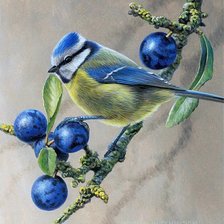 Схема вышивки «синичка»