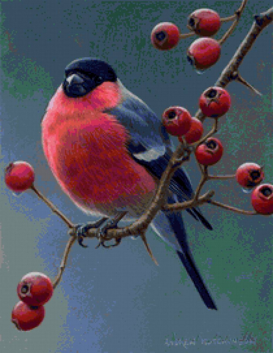 снегирь - предпросмотр