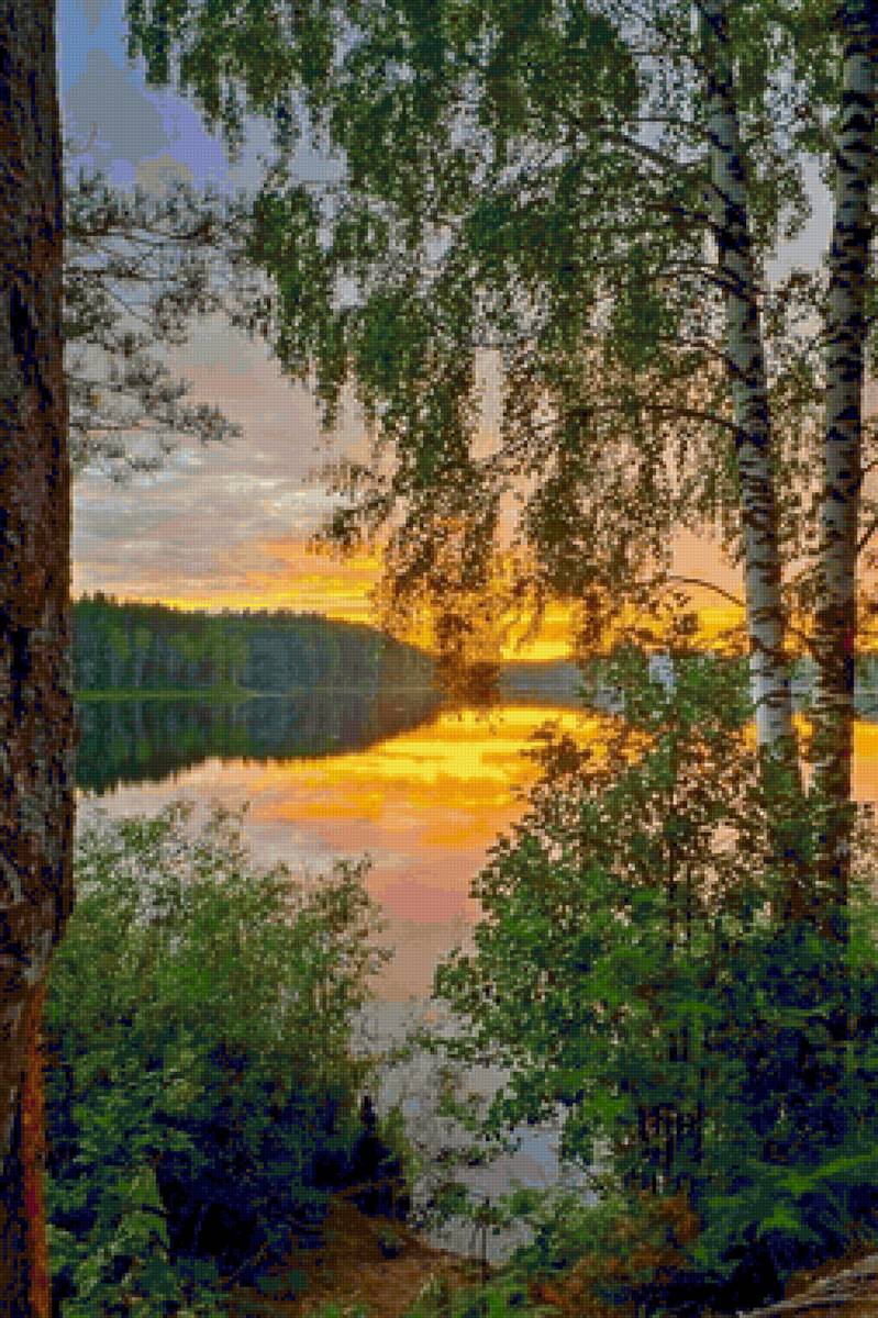 Лес летом - березы, озеро - предпросмотр