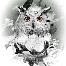Схема вышивки «сова»
