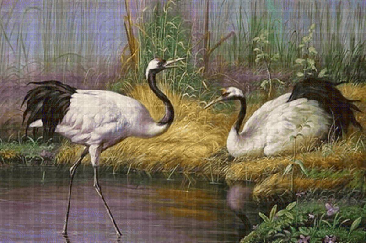 №2452676 - предпросмотр