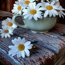 Схема вышивки «№2452885»