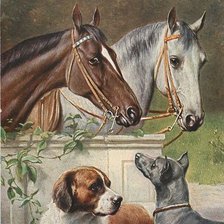 Схема вышивки «На прогулку»