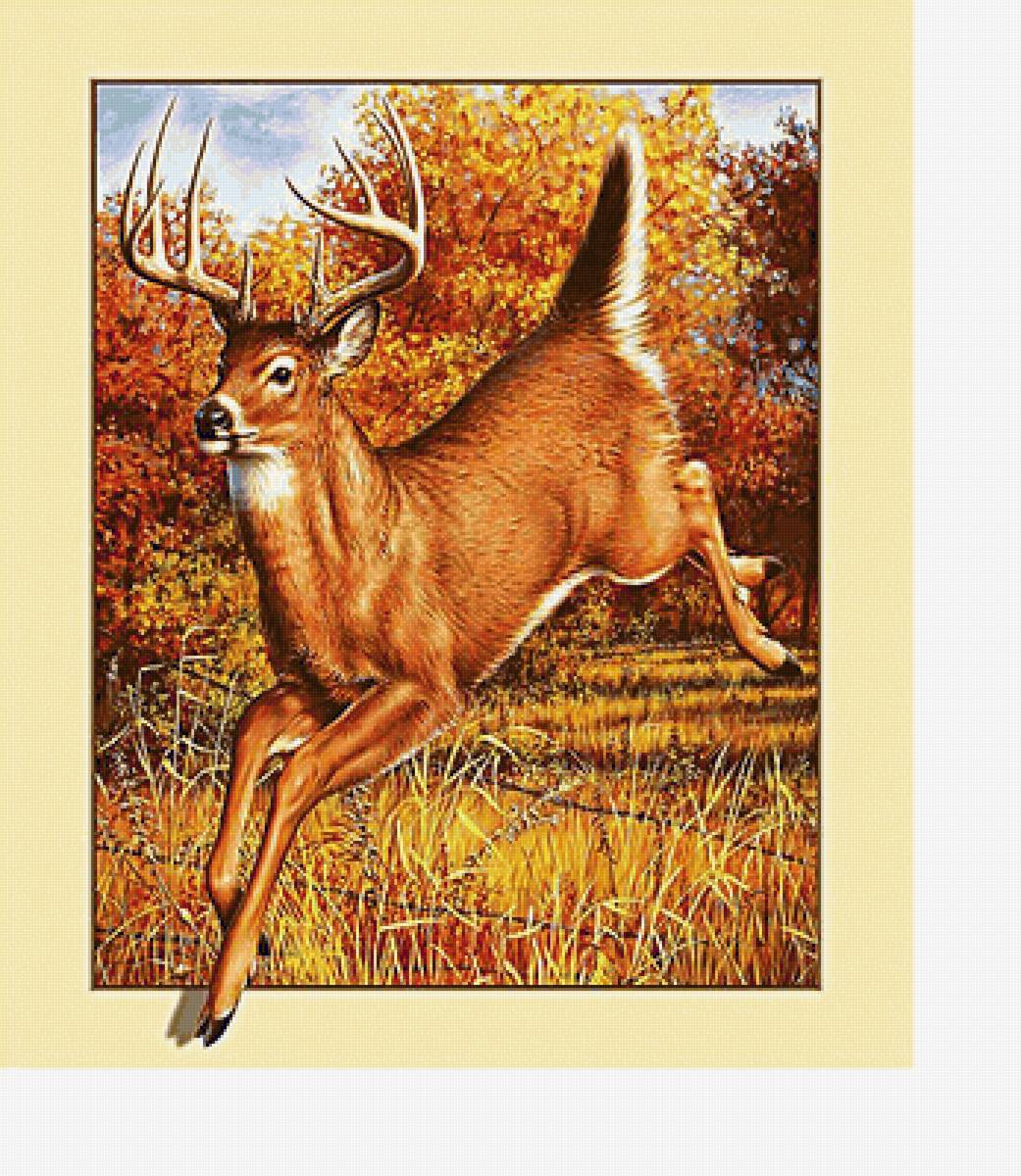 Серия "Олени" - животные, олени - предпросмотр