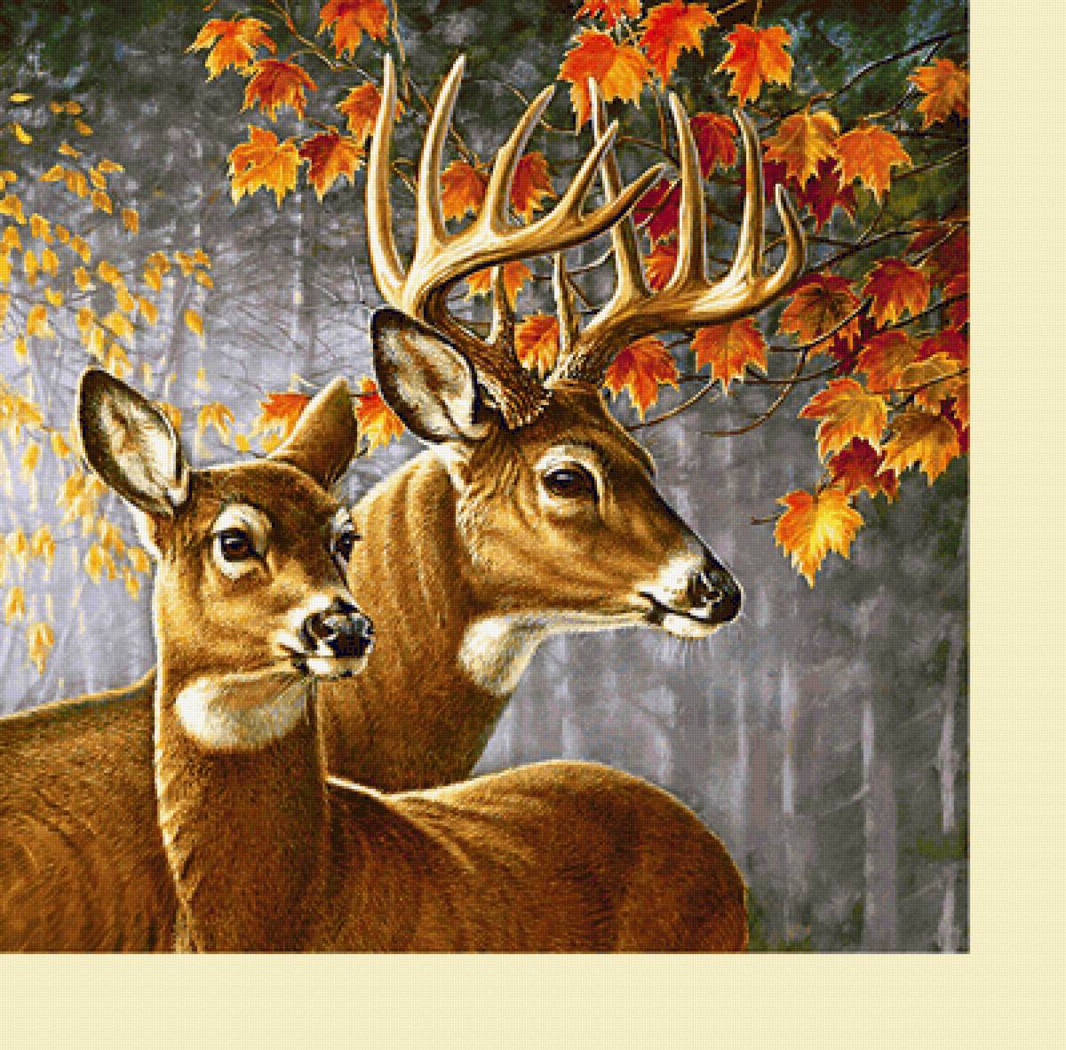 Серия "Олени" - олени, животные - предпросмотр