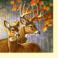 Схема вышивки «Серия "Олени"»